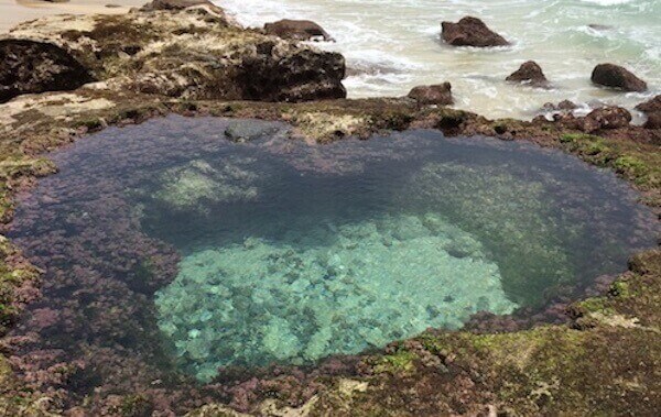 奄美大島ハートロック