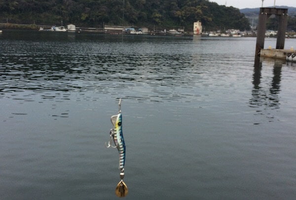 山川港で釣り