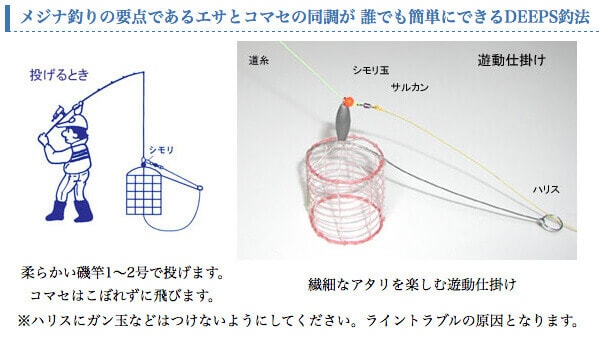 DEEPSについて