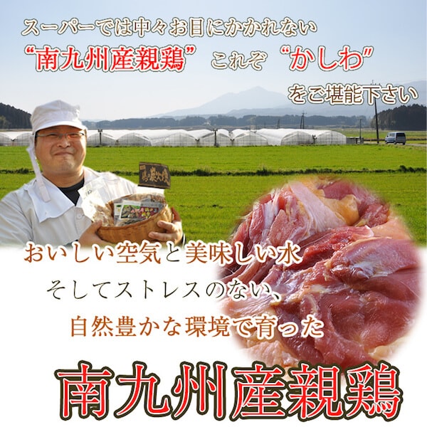 南九州産親鶏をお取り寄せ