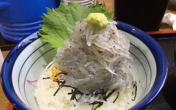 淡路島の激ウマ生しらす丼を漁師が営む海鮮食堂 渡舟で食べてきた